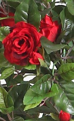 Artificial Rose Tree Plant With Fibre Reinforced Plastic Pot 162 cm