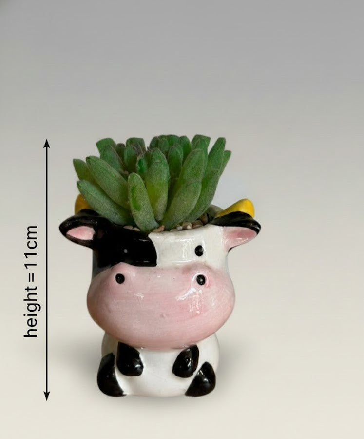 Blush Moo Mini Ceramic Planter With Artificial Plant 11 CM