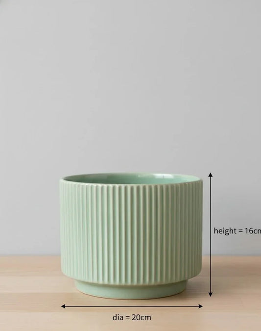 Green Ribbed Ceramic Planter - 16CM