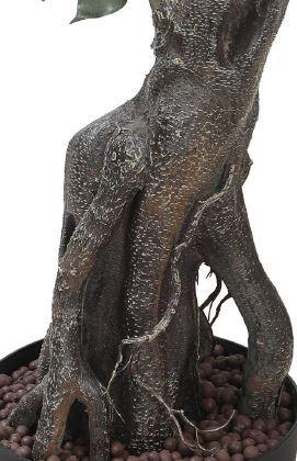 Artificial Ficus Plant With Fibre Reinforced Plastic Pot 190cm