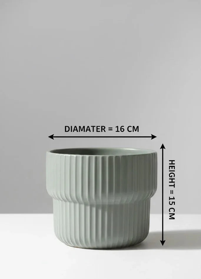 Sage Green Fischer Round Ceramic Pot - 15CM