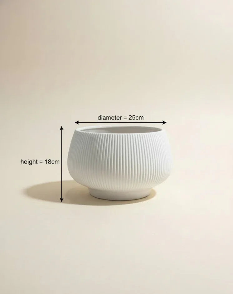 White Vintage Vitalia Ceramic Bowl Pot 18 CM