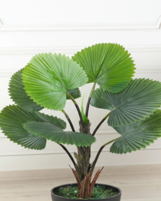 Artificial Real Touch Circular Fan Palm Without Pot 75cm