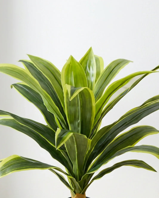 Artificial Dracaena Plant 95cm