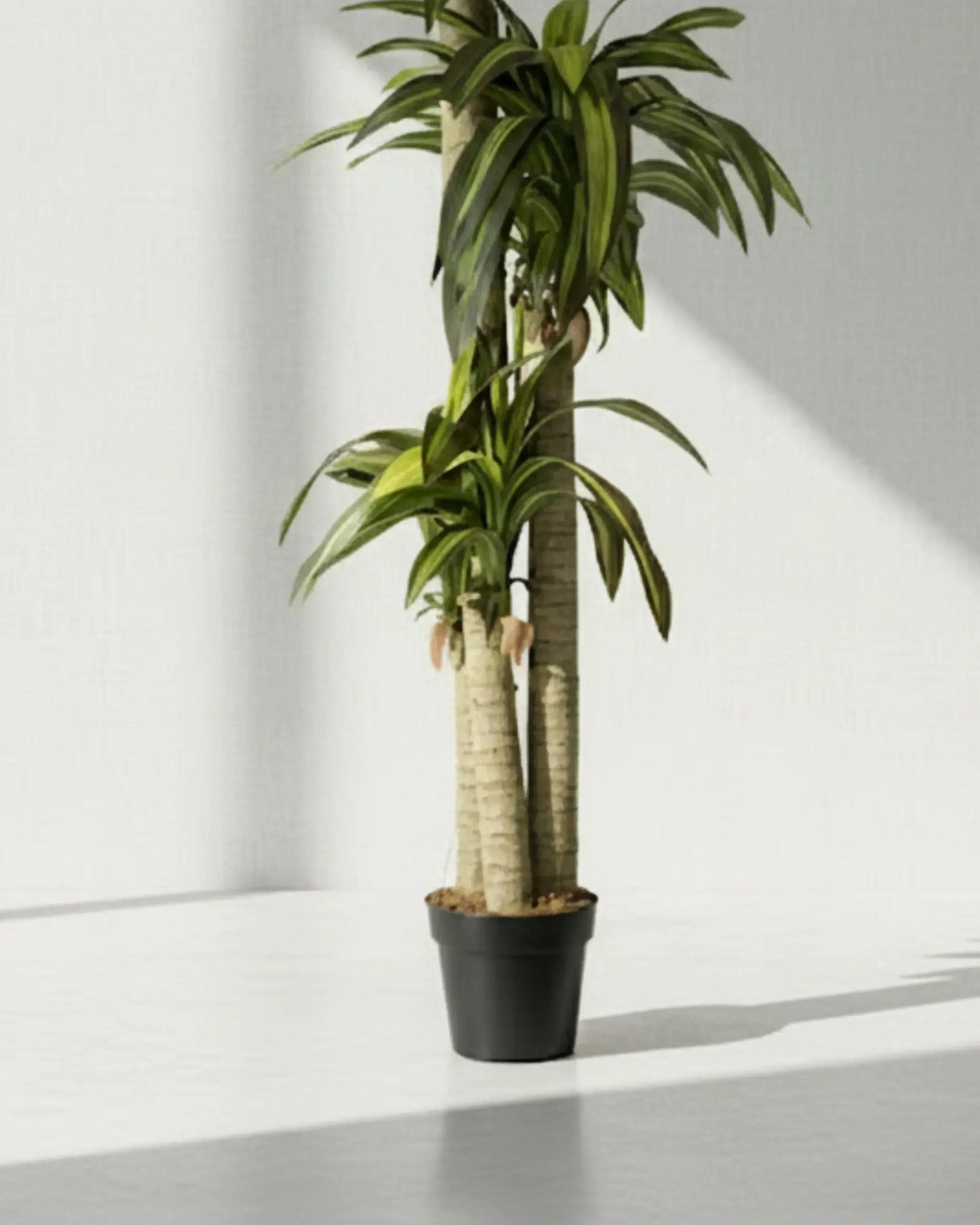 Artificial Cordyline Green Plant With Pot 176cm