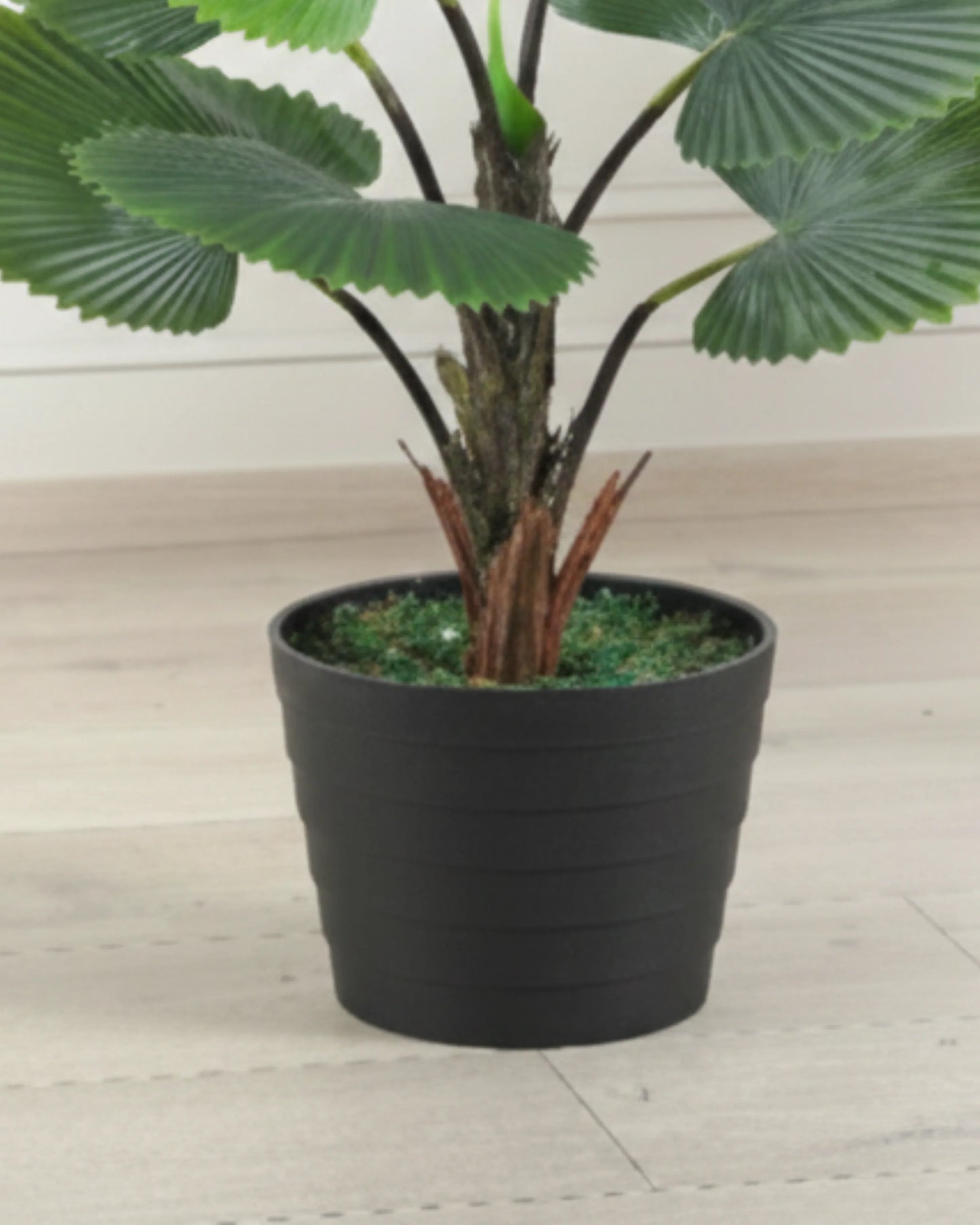 Artificial Real Touch Circular Fan Palm Without Pot 75cm