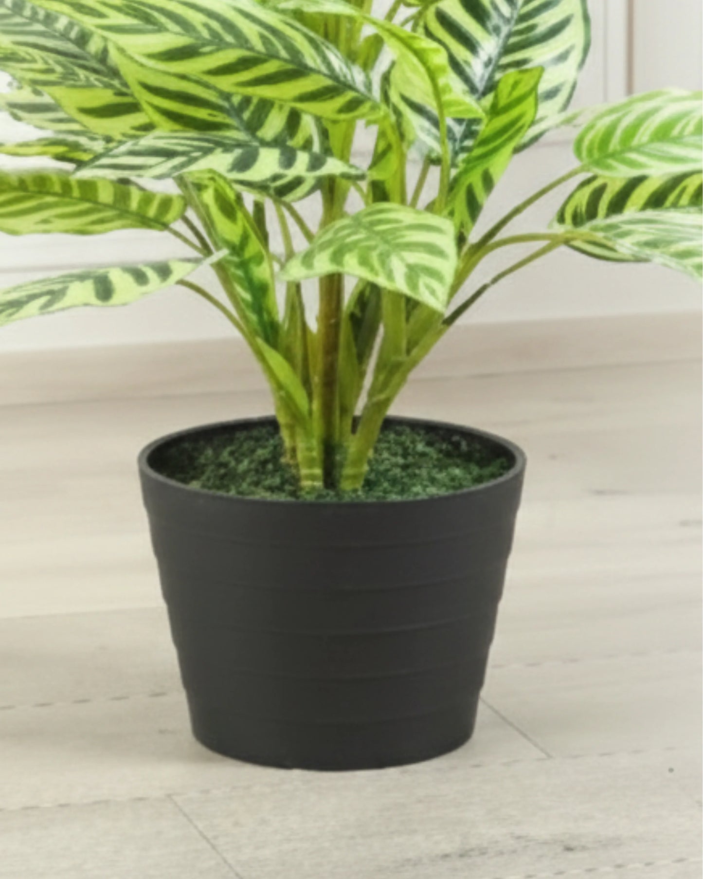 Artificial Peacock Plant 80cm without Pot