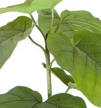 Artificial Ficus Umbellata with supporting pot 240cm GTK