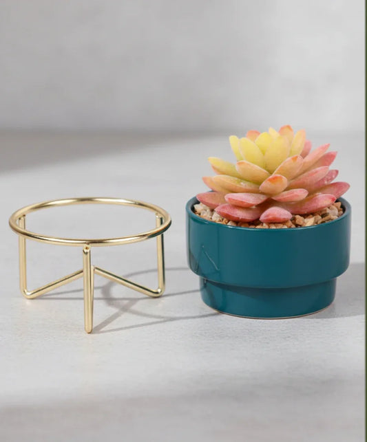 Artificial Succulent With Ceramic Pot 25cm