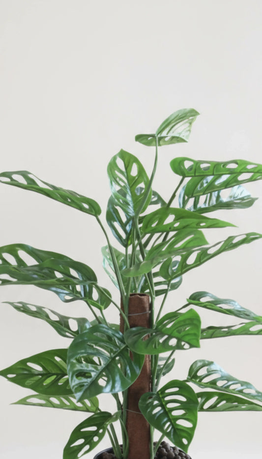 Artificial Monstera on A pole Plant 60cm