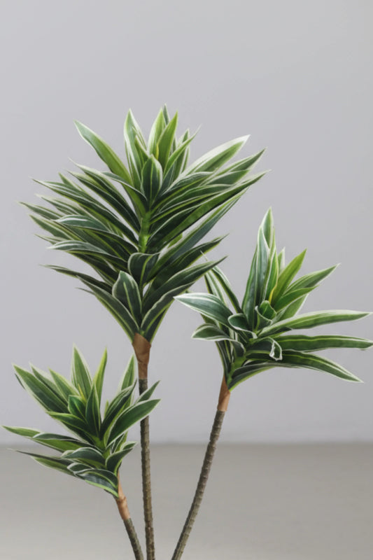 Artificial Song of India Plant (white) Without Pot 70cm