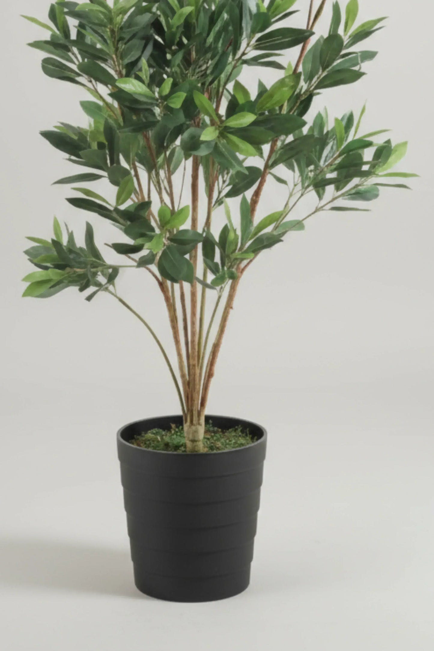 Artificial Croton Plant (Green) 150cm