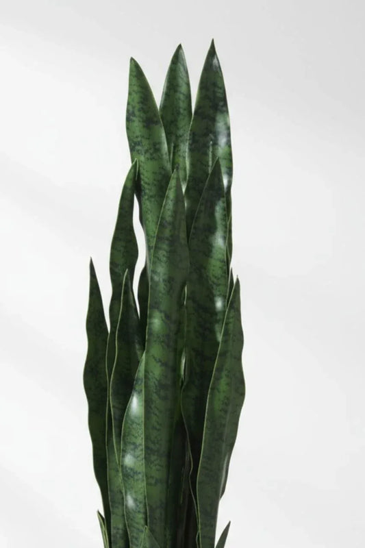 Artificial Snake Plant With Plastic Pot 75cm