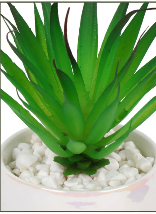 Artificial Succulent With Ceramic Pot