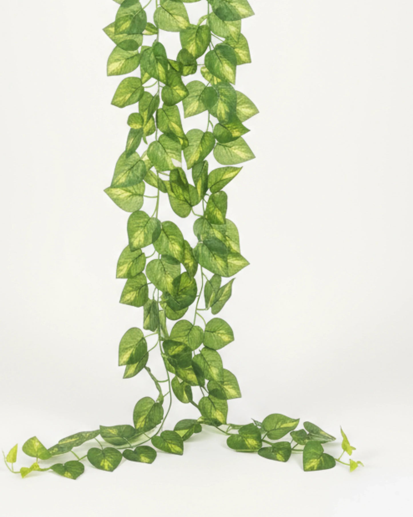 Artificial Pothos Bale 180cm