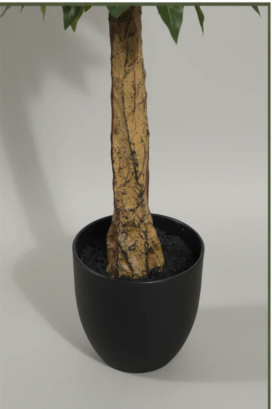 Artificial Peperomia Plant With Pot Height 145cm/4.8ft