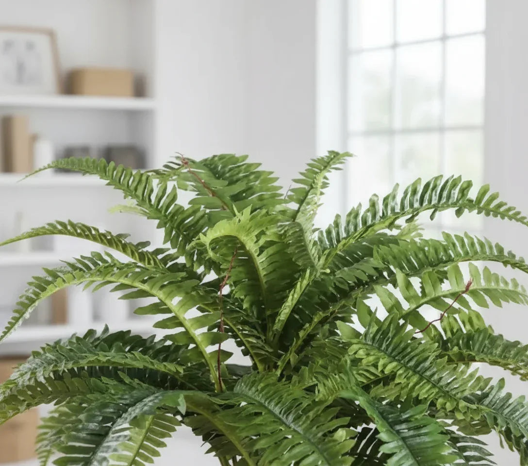 Artificial Large Boston Fern Plant Without Pot 55cm