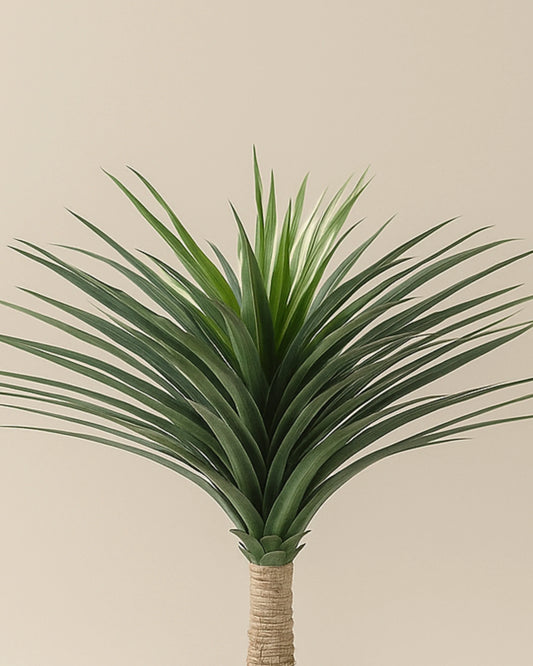 Nolina Artificial plant Without Pot 120cm