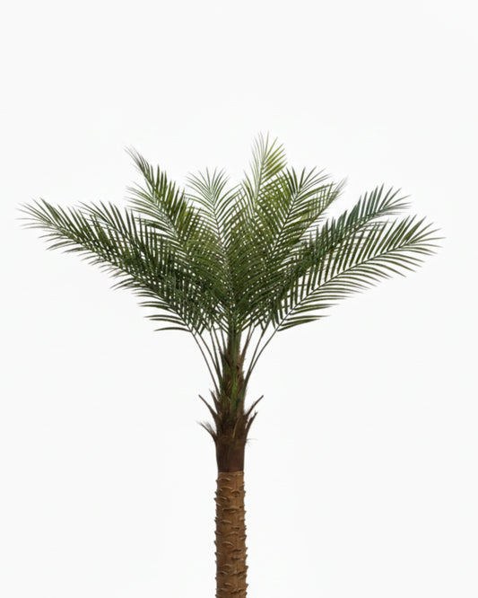 Artificial Date Palm Plant With Pot 180cm