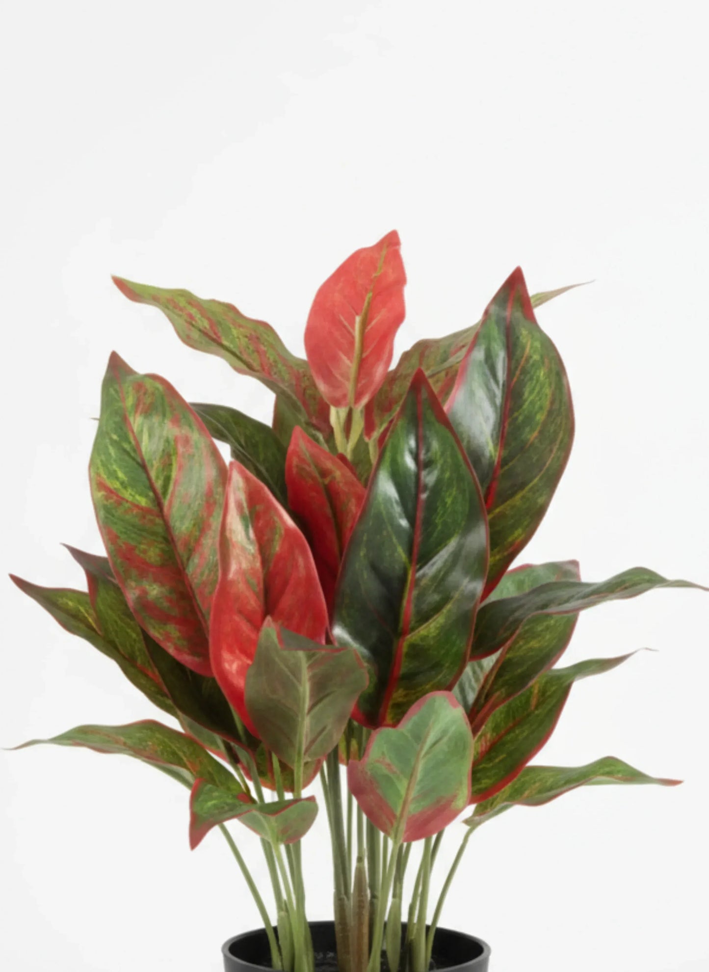 Artificial Arrow Root Plant With Plastic Pot 42cm