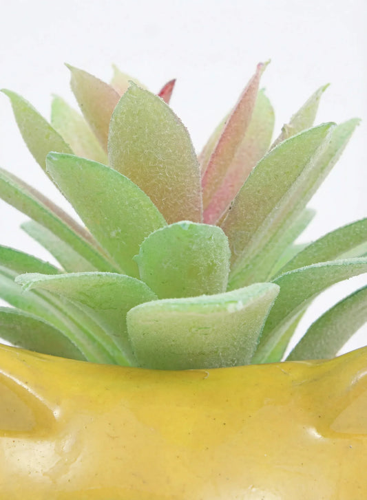 artificial Succulent With Ceramic Pot 15cm
