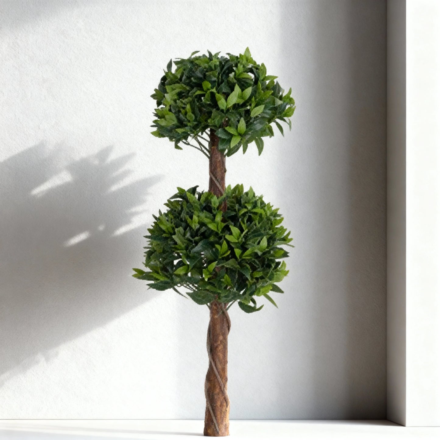 Bay Leaf Topiary : 120cm Without Pot