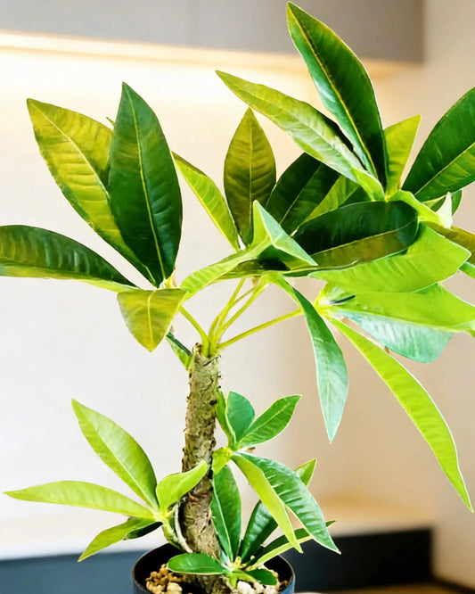 Artificial Tropical Green Desk Plant in Black Pot 35cm