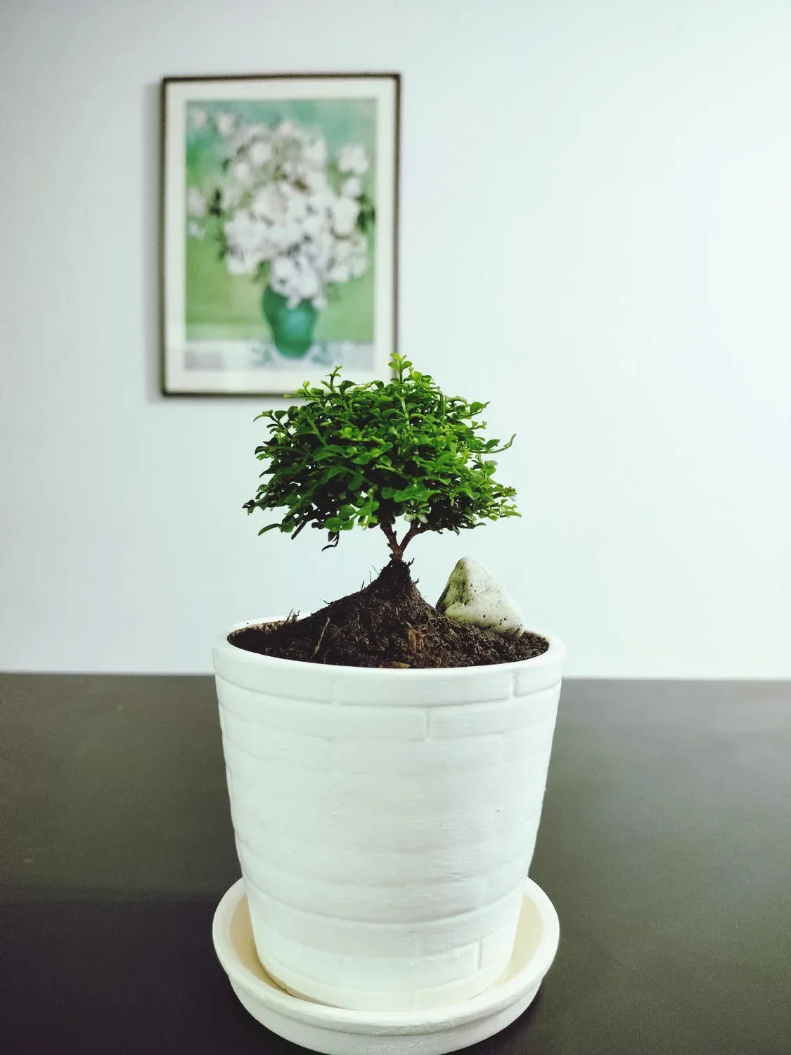 Artificial Small Bonsai Plants