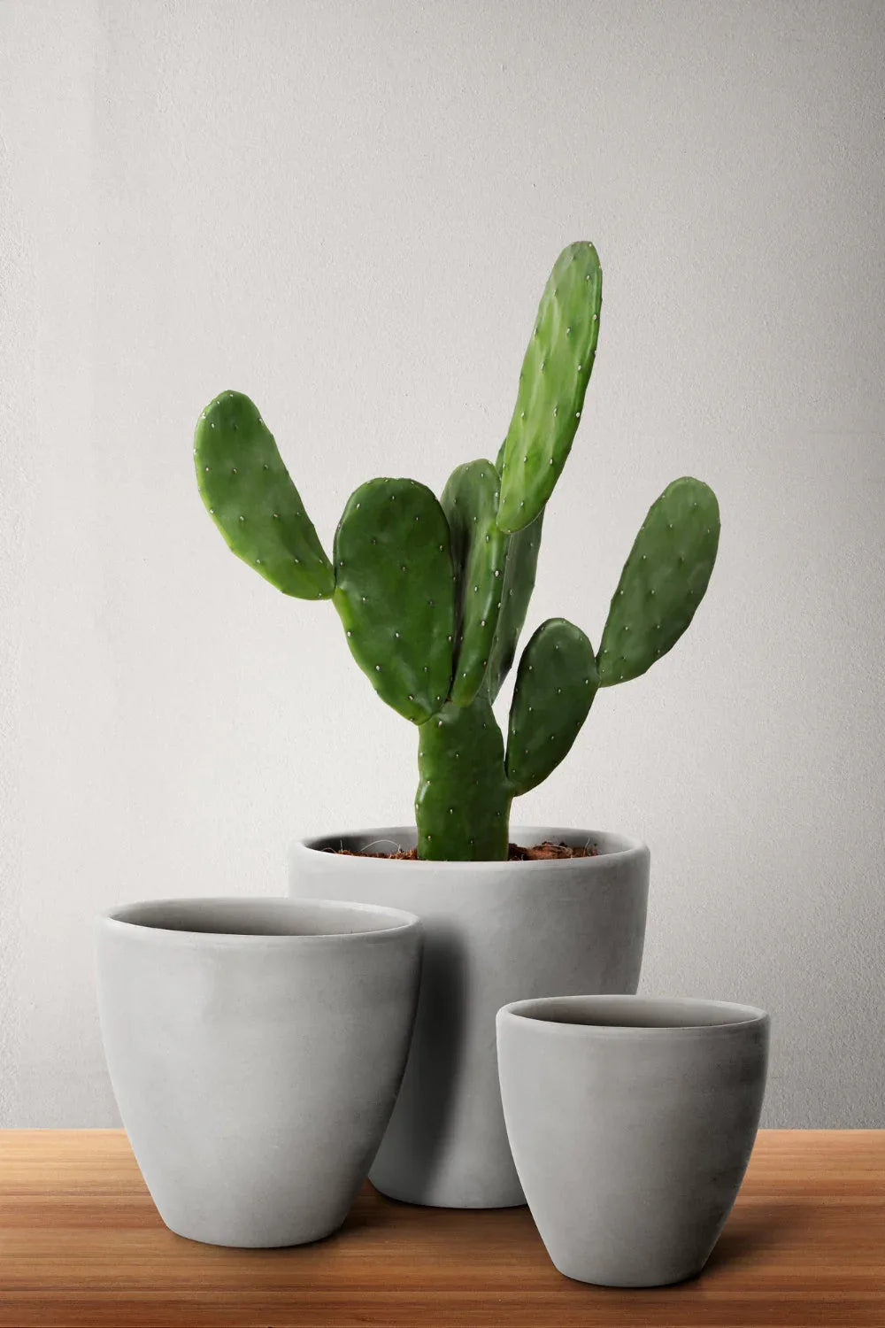 Cement Pots