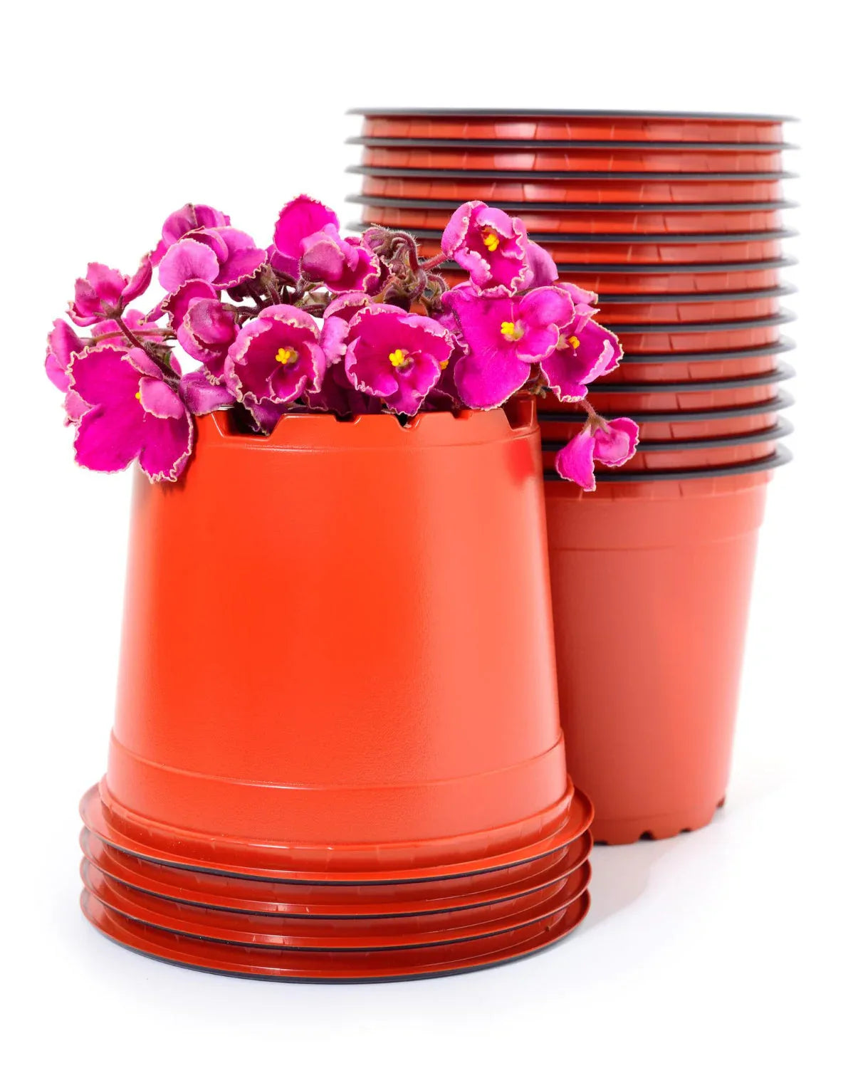 Plastic Pots