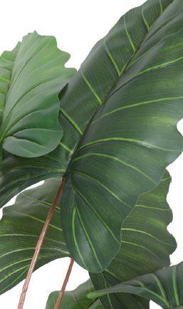 Artificial  Alocasia Plant With Fibre Reinforced Plastic Pot  198 cm