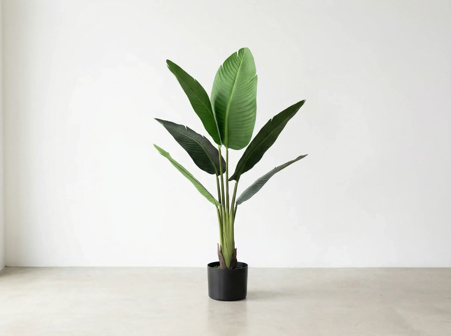 Artificial Calathea Silk Leaf Texture 80cm GTK