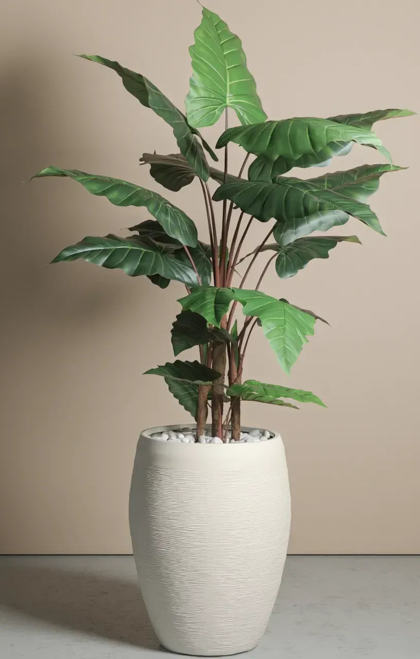Artificial  Alocasia Plant With Fibre Reinforced Plastic Pot  198 cm