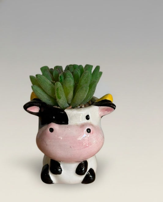 Blush Moo Mini Ceramic Planter With Artificial Plant 11 CM