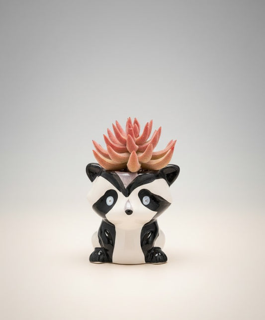 Panda Paws Mini Ceramic Planter With Artificial Plant 12 CM