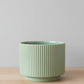 Green Ribbed Ceramic Planter - 16CM