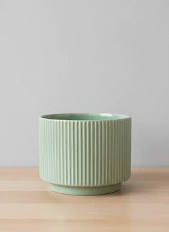 Green Ribbed Ceramic Planter - 16CM