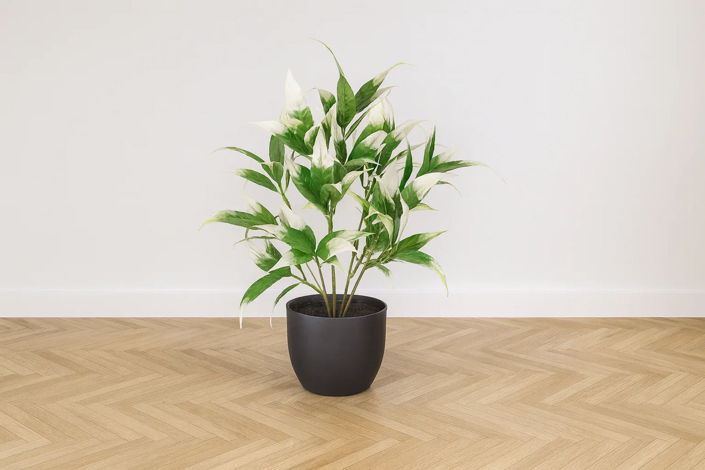 Artificial De Gardenia White Grass Plant With Pot 30cm GTK