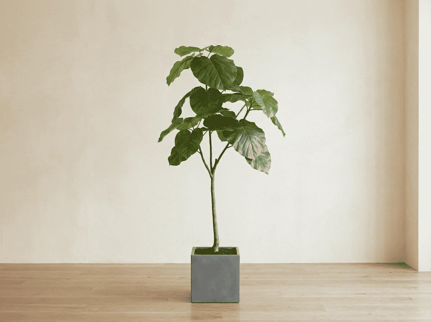 Faux Fiddle Leaf Fig Tree 120cm GTK