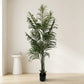 Areca Palm Tree + Marble Veil Ceramic Planter Combo