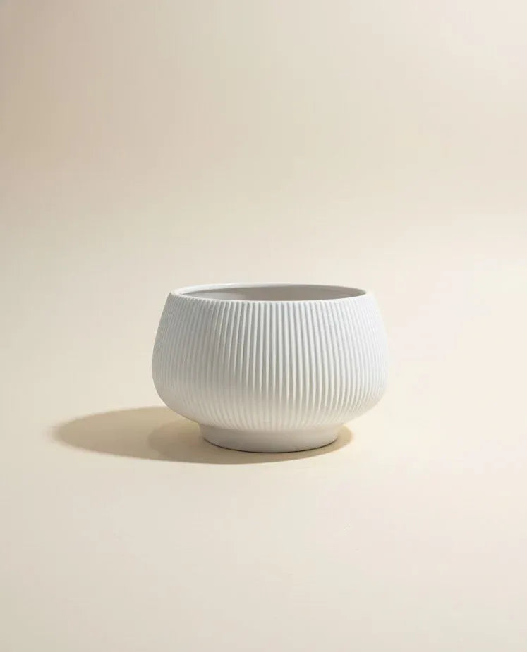 White Vintage Vitalia Ceramic Bowl Pot 18 CM