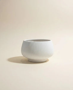 White Vintage Vitalia Ceramic Bowl Pot 18 CM