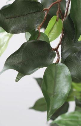 Artificial Ficus Plant With  Fibre Reinforced Plastic Pot 190cm