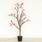 Elegant Magnolia & Blush Ridge Ceramic Planter Combo