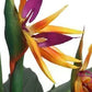 Artificial Bird Of Paradise  Plant with Fibre Reinforced Plastic  Pot  180