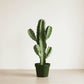 Cactus Euphorbia Cowboy 50cm GTK