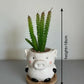Piglet Bliss Mini Ceramic Planter 18CM