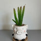Piglet Bliss Mini Ceramic Planter 18CM