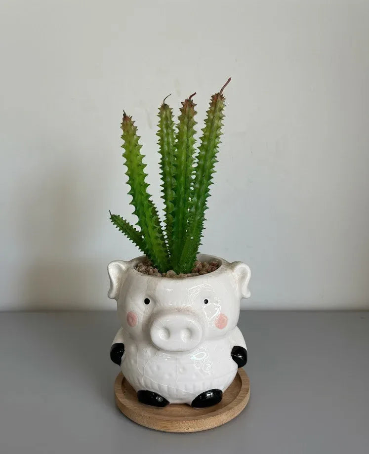 Piglet Bliss Mini Ceramic Planter 18CM