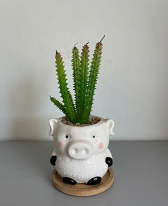 Piglet Bliss Mini Ceramic Planter 18CM